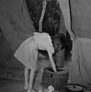 Child of white migrant worker building fire in heating stove in tent home. Harlingen, Texas 19390101.