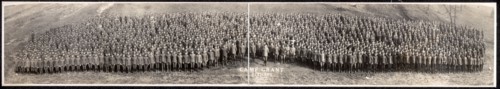 Photographic print of US Army Officers at Camp Grant preparing to transfer to Europe for war