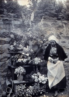 Dutch flower seller