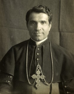 Sebastiano Martinelli, Roman catholic Church Cardinal