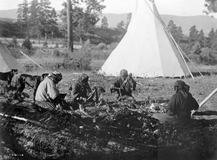 Photographic print of Salish woman sitting on the ground preparing meat
