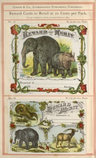 Highly coloured educational 'Reward Cards' for children