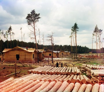 logs prepared for use in Tsarist Russian railroad construction
