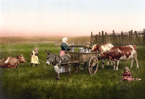 Milk sellers, Cologne, The Rhine, Germany.