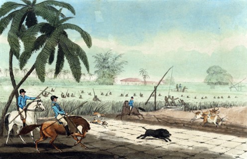 Beating sugar-canes for a hog by Samuel Howitt,