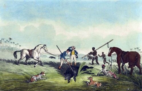 The dead hog by Samuel Howitt, 1765?-1822, artist