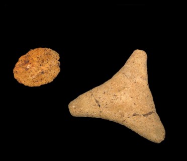 dried fruit and pods from an ancient Egyptian tomb circa 1350 BC