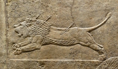 Relief depicting The royal lion hunt. Assyrian, about 645-635 BC From Nineveh