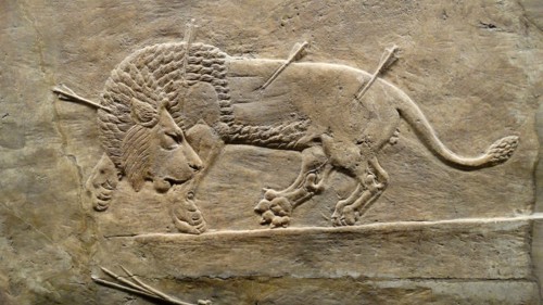 The royal lion hunt, Assyrian, about 645-635 BC From Nineveh. North Palace, Iraq