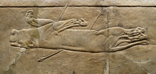 The royal lion hunt, Assyrian, about 645-635 BC From Nineveh. North Palace, Iraq