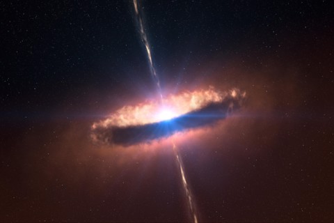 A disc around a massive baby star