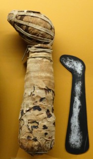 Mummified dog from Egypt