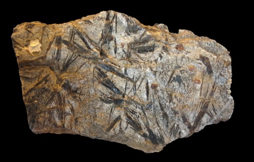 Amphibolite rock
