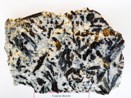 Coarse Diorite from Lochnagar, Aberdeenshire