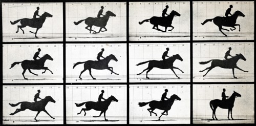 Horse in Motion by Eadweard Muybridge