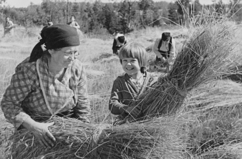 Photograph of Harvest time at a collective farm in the USSR