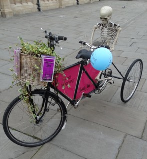 Novelty tricycle bike with skeleton, Bath, England