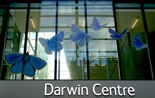 Exterior of the Darwin Centre