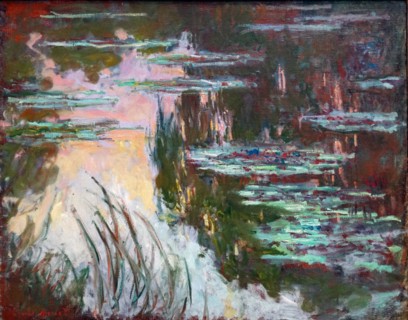 Water-Lilies