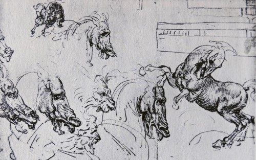 Sketches for the 'Battle of Anghiari' by Leonardo Da Vinci