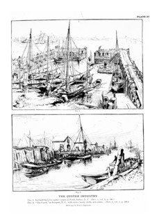 Drawings by Ernest Ingersoll