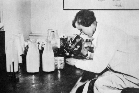 Female laboratory scientist looks for bacteria in milk