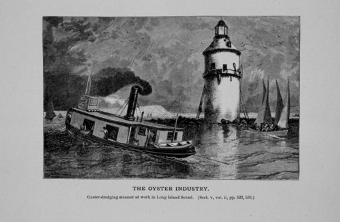 Oyster dredging steamer at work in Long Island Sound