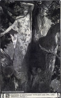 A young dryad balanced in treetop branches among a bat