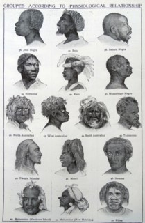 Portrait of men grouped according to Physiological Relationship