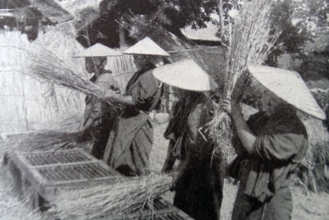 Japanese men threshing rice