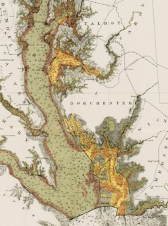 Section of map of Natural Oyster Grounds of Maryland