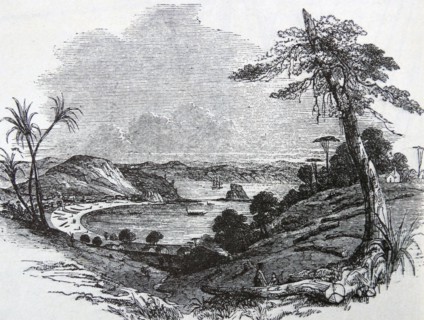 Scene of the Maori trouble