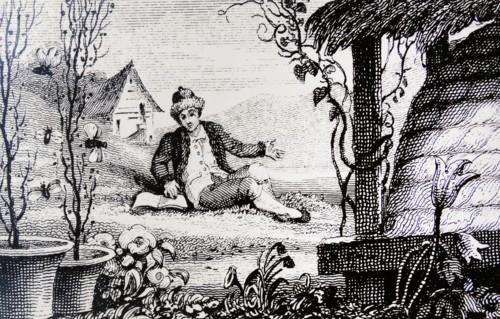 The blind Swiss naturalist FRANCIS HUBER