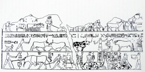 18th Dynasty