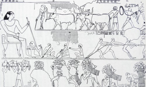 Freize depicting cattle