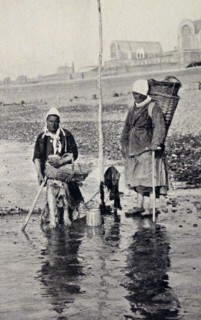 mussel gatherers off the coast of Normandy