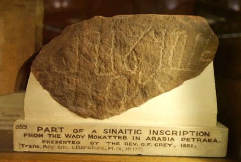 Fragment of a Sinaitic inscription from the Wady Mokatteb in Arabia Petrae