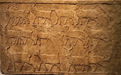 Assyrian wall plaques