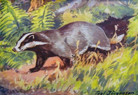 Painting of a Badger by Poul Jörgensen