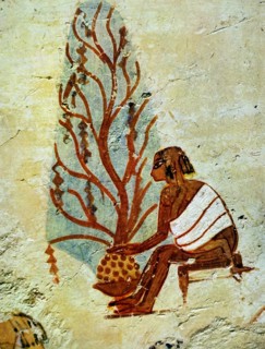 Egyptian tomb wall painting