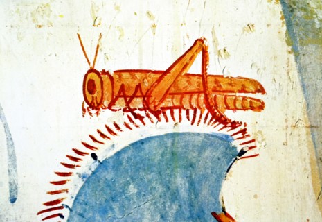 Egyptian tomb wall a grasshopper
