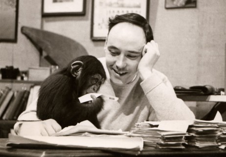 Desmond Morris
