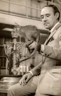 Desmond Morris