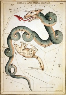 Draco and Ursa Minor by Sidney Hall, Sidney, etcher Published 1825.