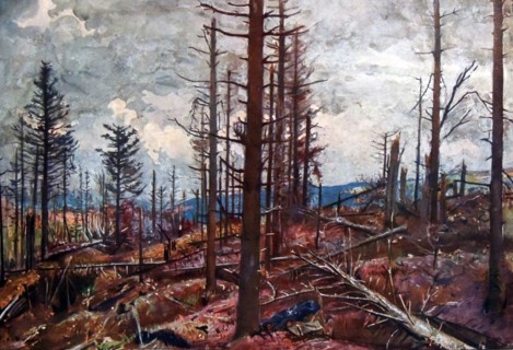 The trees destroyed around Metzeral at la vallee de la fecht.