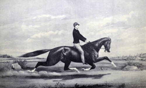 Currier & Ives Illustration. Celebrated horse Dexter 'The king of the Turf'