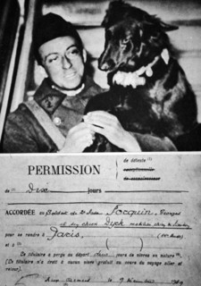 WWII: French army messenger dog at a front line position 1940