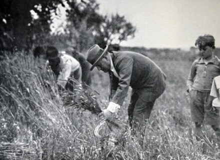 Mussolini working on a farm
