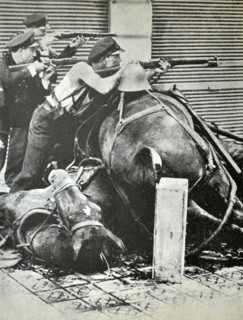 Three republican fighters take aim with rifles, behind a barricade made up of dead horses