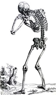 Plates from the First Book of the De Humani Corporis Fabrica by Vesalius